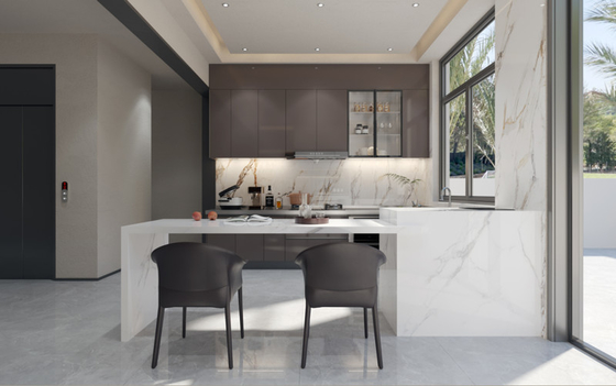 Elegant , Warm, Contemporary , And Customizable Stainless Steel Kitchen Masterpiece